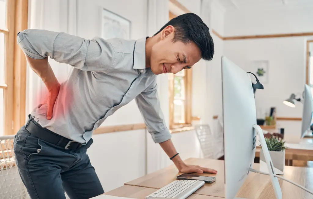 Ergonomic Chair For Back Pain