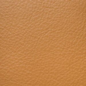 aniline beige 1 - Swatches