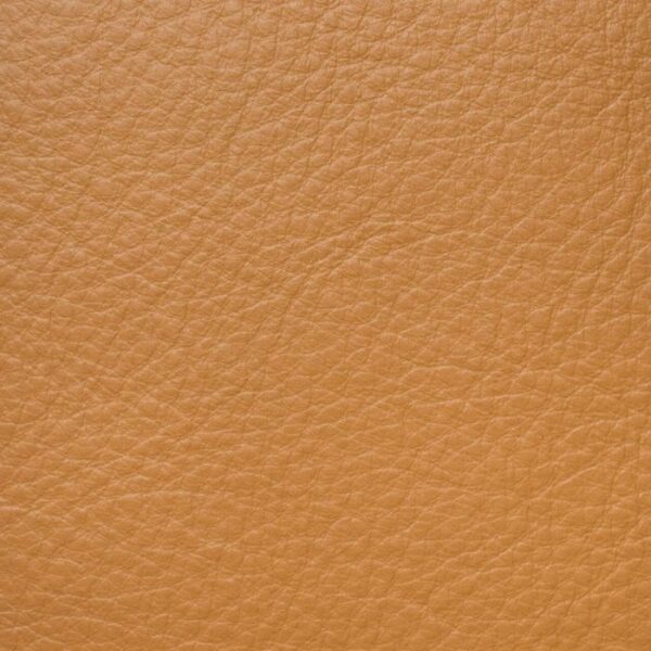 aniline beige 1 - Swatches