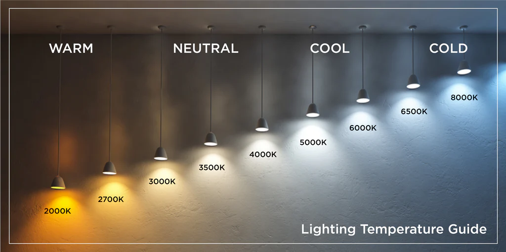 Bright Ideas for Night Owls: 8 Best Table Lamps for Reading in Bed 2025